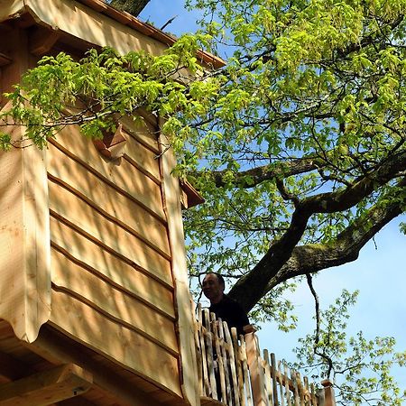 La Cabane Du Vieux Chene Susmiou Eksteriør bilde